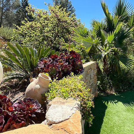 Villa Avec Jacuzzi Sur Les Hauteurs De La Ciotat Ceyreste Екстериор снимка